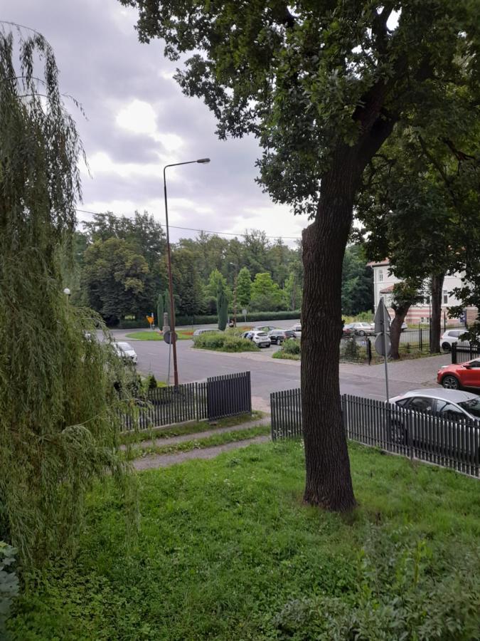 Апартаменти Mieszkanie Z Widokiem Na Park -Cieplice Slaskie Zdroj Єленя-Ґура Екстер'єр фото